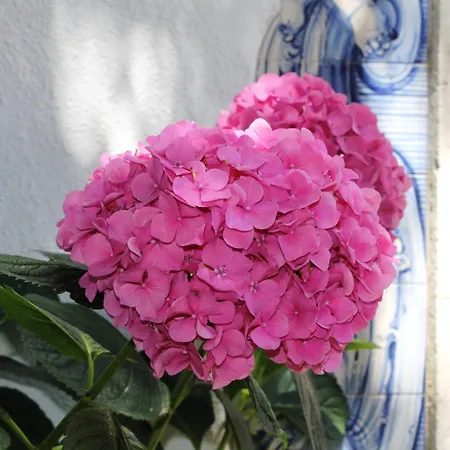 בית נופש Quinta Do Casal De Santo Antonio אלנקר