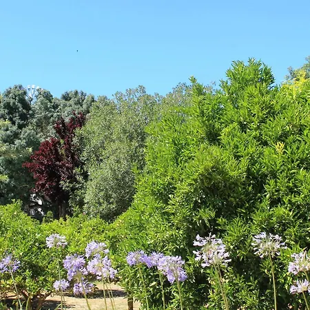 Quinta Do Casal De Santo Antonio אלנקר