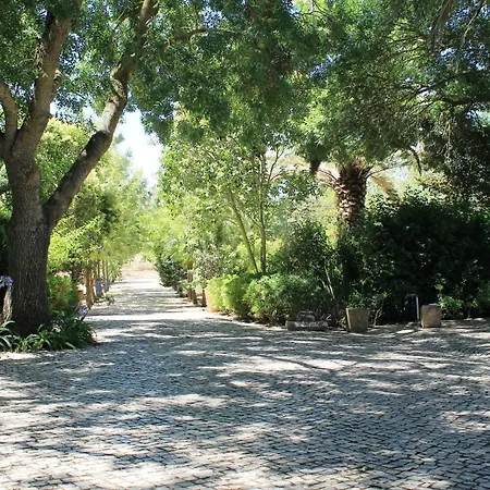 Quinta Do Casal De Santo António