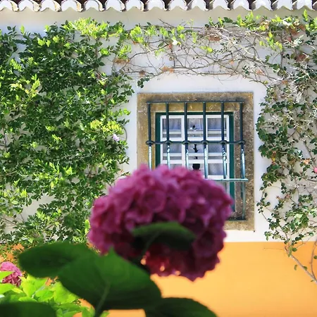 Quinta Do Casal De Santo Antonio Prázdninový dům