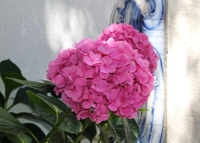 別荘 Quinta Do Casal De Santo Antonio アレンケル