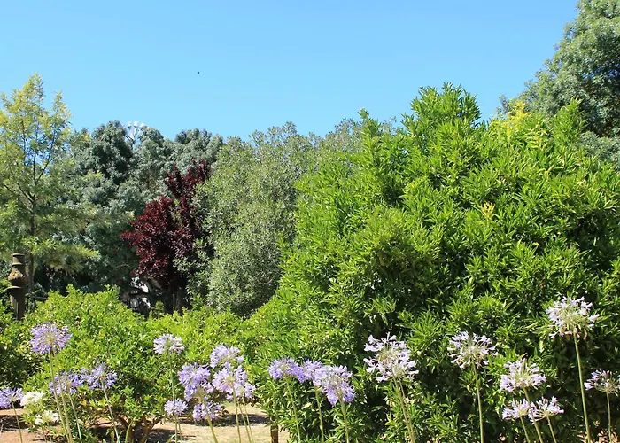 Quinta Do Casal De Santo Antonio アレンケル