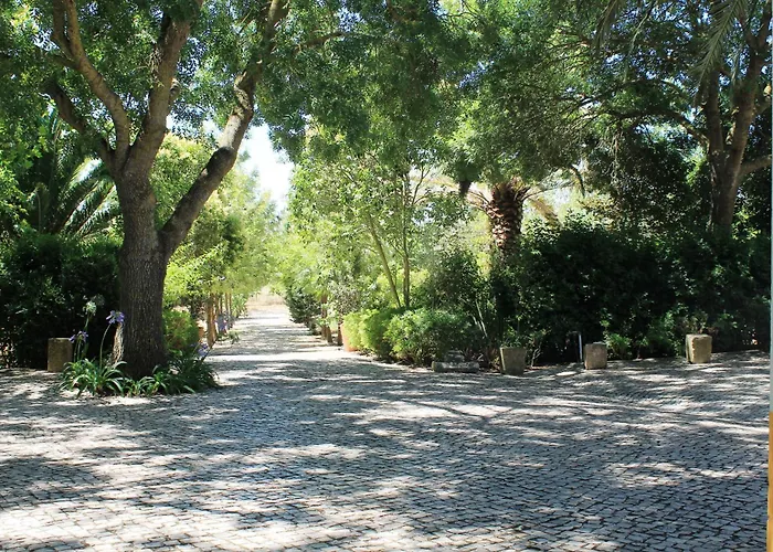 Quinta Do Casal De Santo Antonio