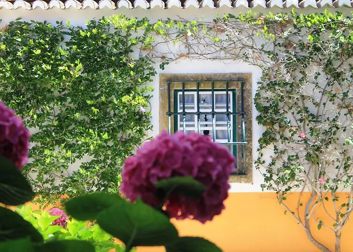 Quinta Do Casal De Santo Antonio Nyaraló